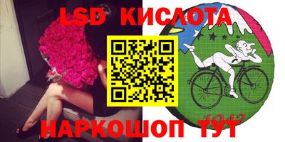 прущие грибы Будённовск