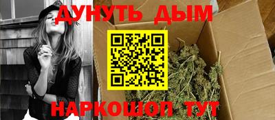 прущие грибы Будённовск