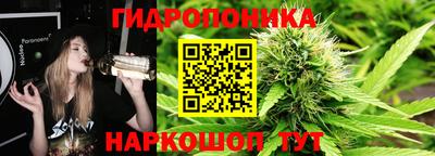 прущие грибы Будённовск
